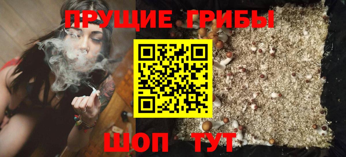 Псилоцибиновые грибы мицелий Ленинск-Кузнецкий