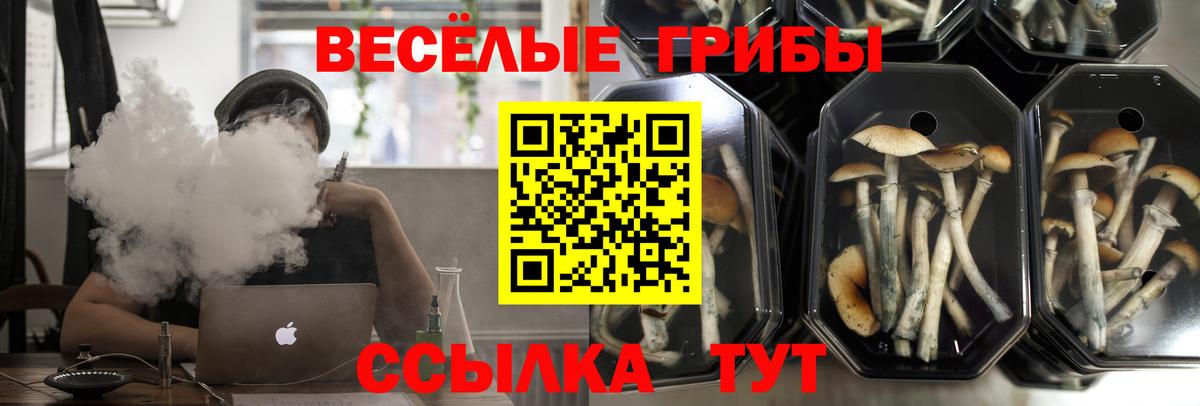 Ленинск-Кузнецкий  Псилоцибиновые грибы GOLDEN TEACHER  Вход с VPN  Псилоцибиновые грибы мицелий 